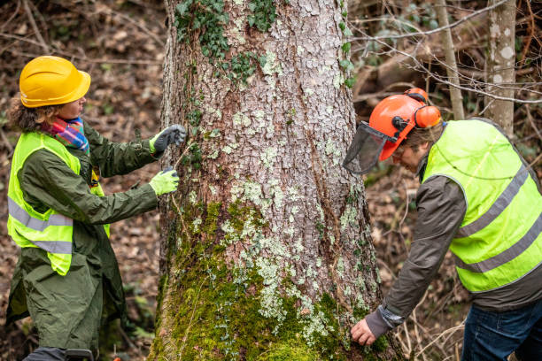 Best Emergency Tree Removal  in Rice, TX